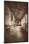 Scene at Carmel Mission, California Coast-Vincent James-Mounted Photographic Print