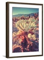 Scene at Cholla Cactus Garden-Vincent James-Framed Photographic Print