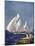 Scene at Cowes Regatta, Sailing Ships Fly Past as the Wind Fills Their Billowing White Sails-T. Friedenson-Mounted Photographic Print