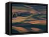 Scene at Dawn from Steptoe Butte, Palouse, Washington, USA-Charles Sleicher-Framed Stretched Canvas