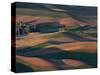 Scene at Dawn from Steptoe Butte, Palouse, Washington, USA-Charles Sleicher-Stretched Canvas