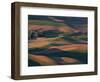 Scene at Dawn from Steptoe Butte, Palouse, Washington, USA-Charles Sleicher-Framed Photographic Print