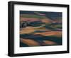 Scene at Dawn from Steptoe Butte, Palouse, Washington, USA-Charles Sleicher-Framed Photographic Print