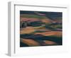 Scene at Dawn from Steptoe Butte, Palouse, Washington, USA-Charles Sleicher-Framed Photographic Print