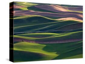 Scene at Dawn from Steptoe Butte, Palouse, Washington, USA-Charles Sleicher-Stretched Canvas