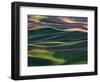 Scene at Dawn from Steptoe Butte, Palouse, Washington, USA-Charles Sleicher-Framed Photographic Print