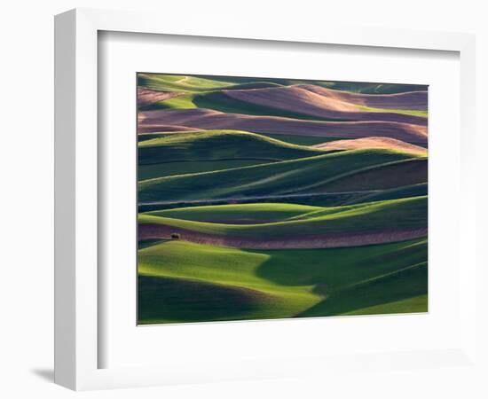 Scene at Dawn from Steptoe Butte, Palouse, Washington, USA-Charles Sleicher-Framed Photographic Print