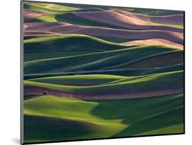 Scene at Dawn from Steptoe Butte, Palouse, Washington, USA-Charles Sleicher-Mounted Photographic Print