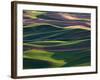 Scene at Dawn from Steptoe Butte, Palouse, Washington, USA-Charles Sleicher-Framed Photographic Print