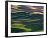 Scene at Dawn from Steptoe Butte, Palouse, Washington, USA-Charles Sleicher-Framed Photographic Print