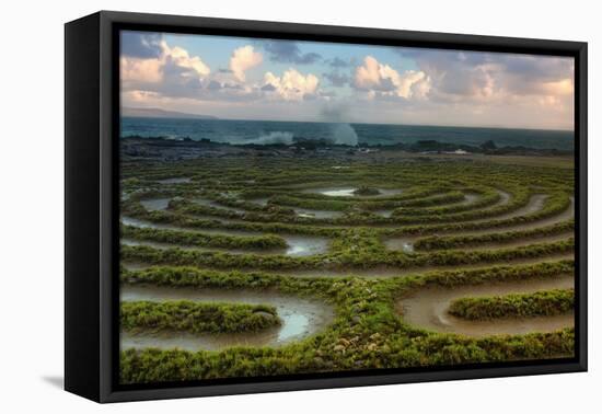 Scene at Kapalua Labyrinth Maui-Vincent James-Framed Stretched Canvas