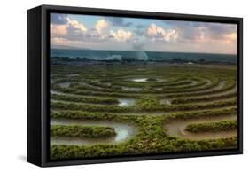 Scene at Kapalua Labyrinth Maui-Vincent James-Framed Stretched Canvas