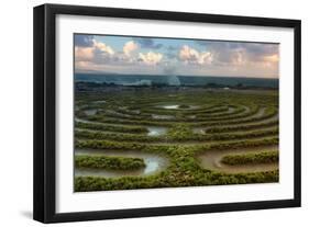 Scene at Kapalua Labyrinth Maui-Vincent James-Framed Photographic Print