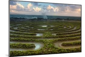 Scene at Kapalua Labyrinth Maui-Vincent James-Mounted Photographic Print