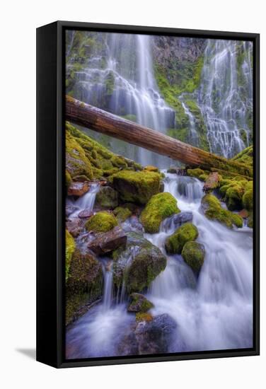 Scene at Majestic Lower Proxy Falls - Central Oregon-Vincent James-Framed Stretched Canvas