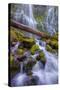 Scene at Majestic Lower Proxy Falls - Central Oregon-Vincent James-Stretched Canvas