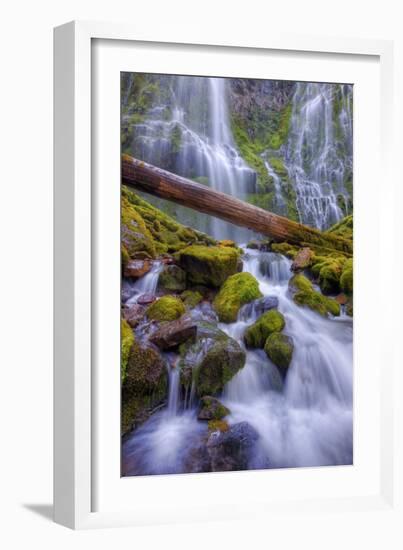 Scene at Majestic Lower Proxy Falls - Central Oregon-Vincent James-Framed Photographic Print