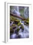 Scene at Majestic Lower Proxy Falls - Central Oregon-Vincent James-Framed Photographic Print