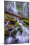 Scene at Majestic Lower Proxy Falls - Central Oregon-Vincent James-Mounted Photographic Print