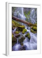 Scene at Majestic Lower Proxy Falls - Central Oregon-Vincent James-Framed Photographic Print