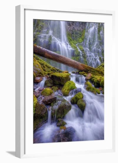 Scene at Majestic Lower Proxy Falls - Central Oregon-Vincent James-Framed Photographic Print