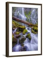 Scene at Majestic Lower Proxy Falls - Central Oregon-Vincent James-Framed Photographic Print