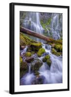 Scene at Majestic Lower Proxy Falls - Central Oregon-Vincent James-Framed Photographic Print