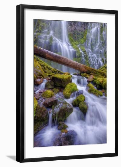 Scene at Majestic Lower Proxy Falls - Central Oregon-Vincent James-Framed Photographic Print