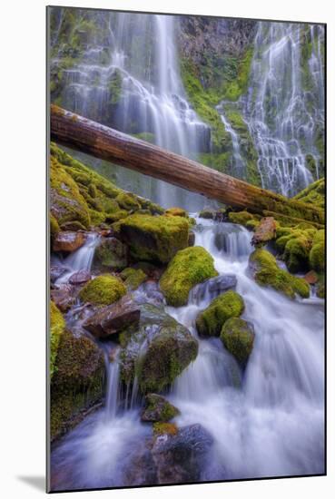 Scene at Majestic Lower Proxy Falls - Central Oregon-Vincent James-Mounted Photographic Print