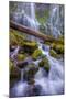 Scene at Majestic Lower Proxy Falls - Central Oregon-Vincent James-Mounted Photographic Print