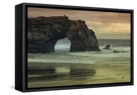 Scene at Natural Bridges, Santa Cruz-Vincent James-Framed Stretched Canvas