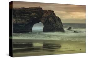Scene at Natural Bridges, Santa Cruz-Vincent James-Stretched Canvas