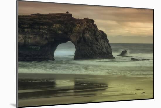 Scene at Natural Bridges, Santa Cruz-Vincent James-Mounted Photographic Print