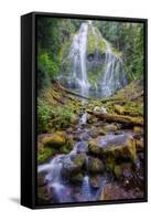 Scene at Proxy Falls-Vincent James-Framed Stretched Canvas