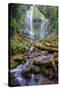Scene at Proxy Falls-Vincent James-Stretched Canvas