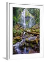 Scene at Proxy Falls-Vincent James-Framed Photographic Print