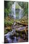 Scene at Proxy Falls-Vincent James-Mounted Photographic Print