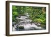 Scene at Sweet Creek, Oregon Coast-Vincent James-Framed Photographic Print