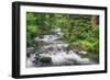 Scene at Sweet Creek, Oregon Coast-Vincent James-Framed Photographic Print