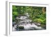 Scene at Sweet Creek, Oregon Coast-Vincent James-Framed Photographic Print