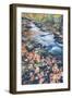 Scene By An Autumn Brook - Bar Harbor, Maine-Vincent James-Framed Photographic Print