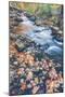 Scene By An Autumn Brook - Bar Harbor, Maine-Vincent James-Mounted Photographic Print