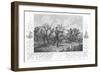 Scene During the Siege of Sevastopol (Sebastapo), 1855-null-Framed Giclee Print