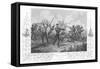 Scene During the Siege of Sevastopol (Sebastapo), 1855-null-Framed Stretched Canvas