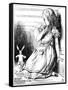 Scene from Alice's Adventures in Wonderland by Lewis Carroll, 1865-John Tenniel-Framed Stretched Canvas