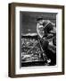 Scene from Copenhagen's Fish Market, December 1946-null-Framed Photographic Print