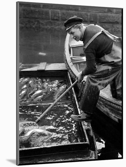 Scene from Copenhagen's Fish Market, December 1946-null-Mounted Photographic Print