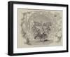 Scene from Jack and the Bean-Stalk, at the Adelphi Theatre-null-Framed Giclee Print