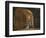 Scene from King Lear-William Shakespeare-Framed Giclee Print