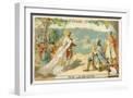 White Frame